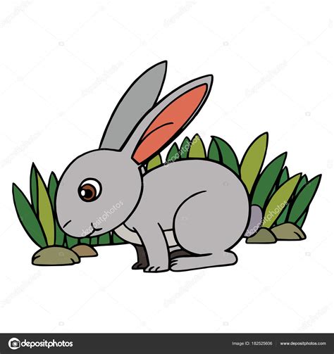 dibujo de conejo